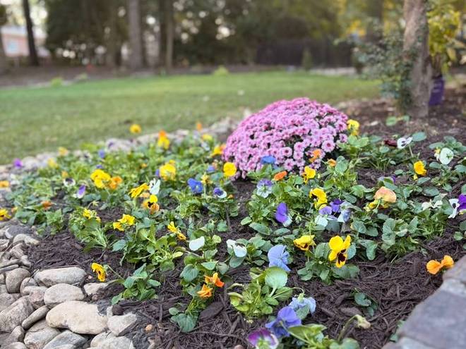 A bed of freshly planted annual flowers edged with river rock.