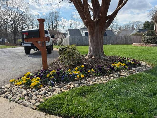 A mailbox bed of annual colour edged with river rock.