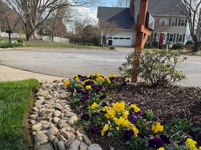 Annual flowers set into a stone-edged bed beside a lawn.