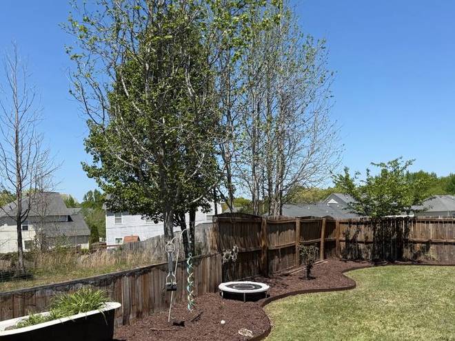 A sweeping bed line running along a fenced rear garden.