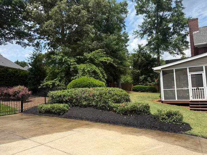 Sculpted shrubs and dark mulch beds with a clean cut edge at a brick home.