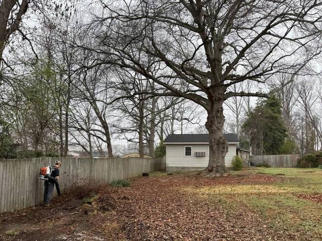 Before: the same yard cleared back ready for grading.