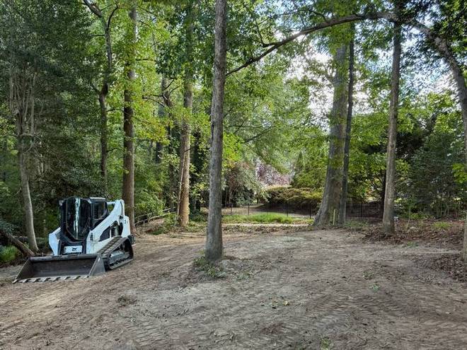 A wooded lot being cleared with a track loader.