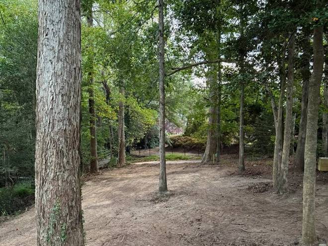 A cleared section of woodland opened up and levelled.
