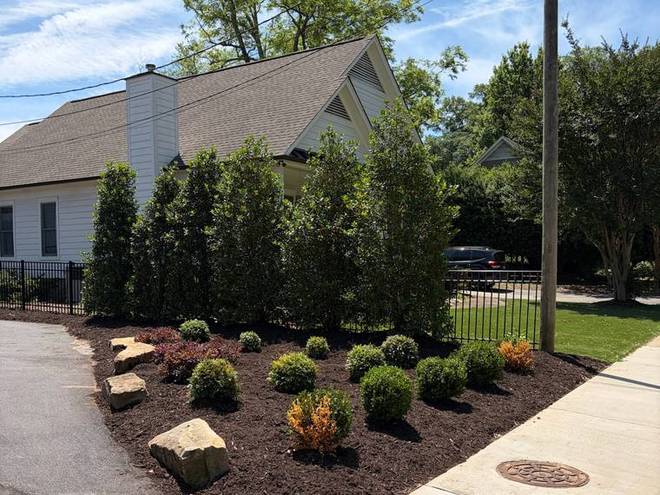A commercial frontage bed with fresh mulch and clipped shrubs along a sidewalk.