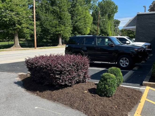 A mulched planting island in a commercial parking lot.