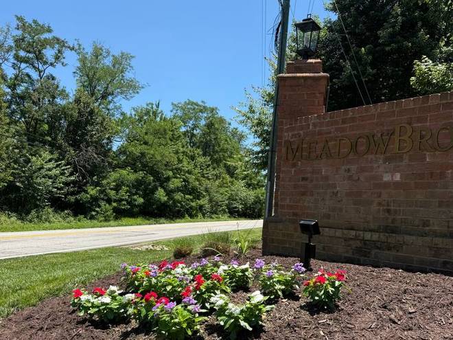 A neighbourhood entrance bed planted with red and white annual flowers.