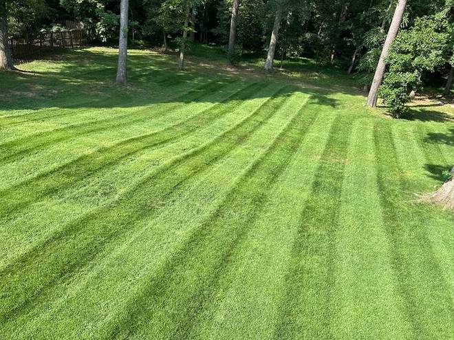A freshly cut lawn with stripes leading toward a planted border.