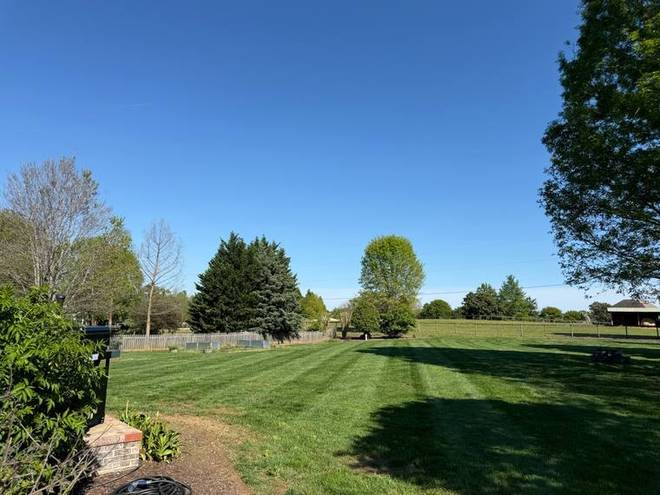 A wide open lawn cut and edged, framed by tree cover.