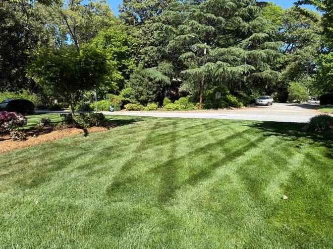 A striped lawn framed by maintained planting beds and mature trees.