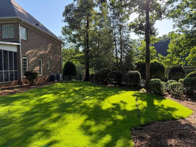 A shaded back lawn kept thick and evenly cut.