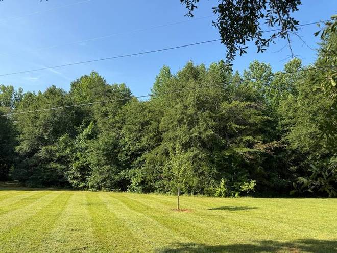 Broad mowing stripes across a large rear lawn.