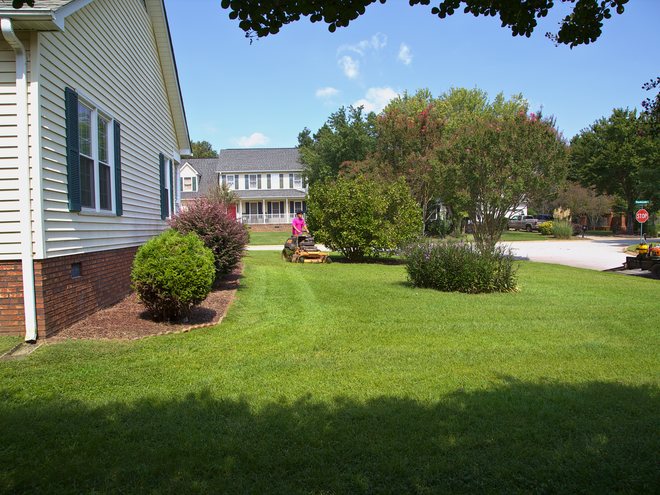 A freshly mowed side lawn with trimmed shrubs under a blue sky.