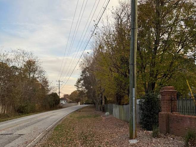 A cleared verge after a leaf collection run.