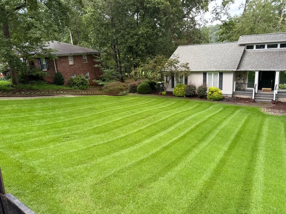 Deep mowing stripes across a large lawn in front of a brick home.
