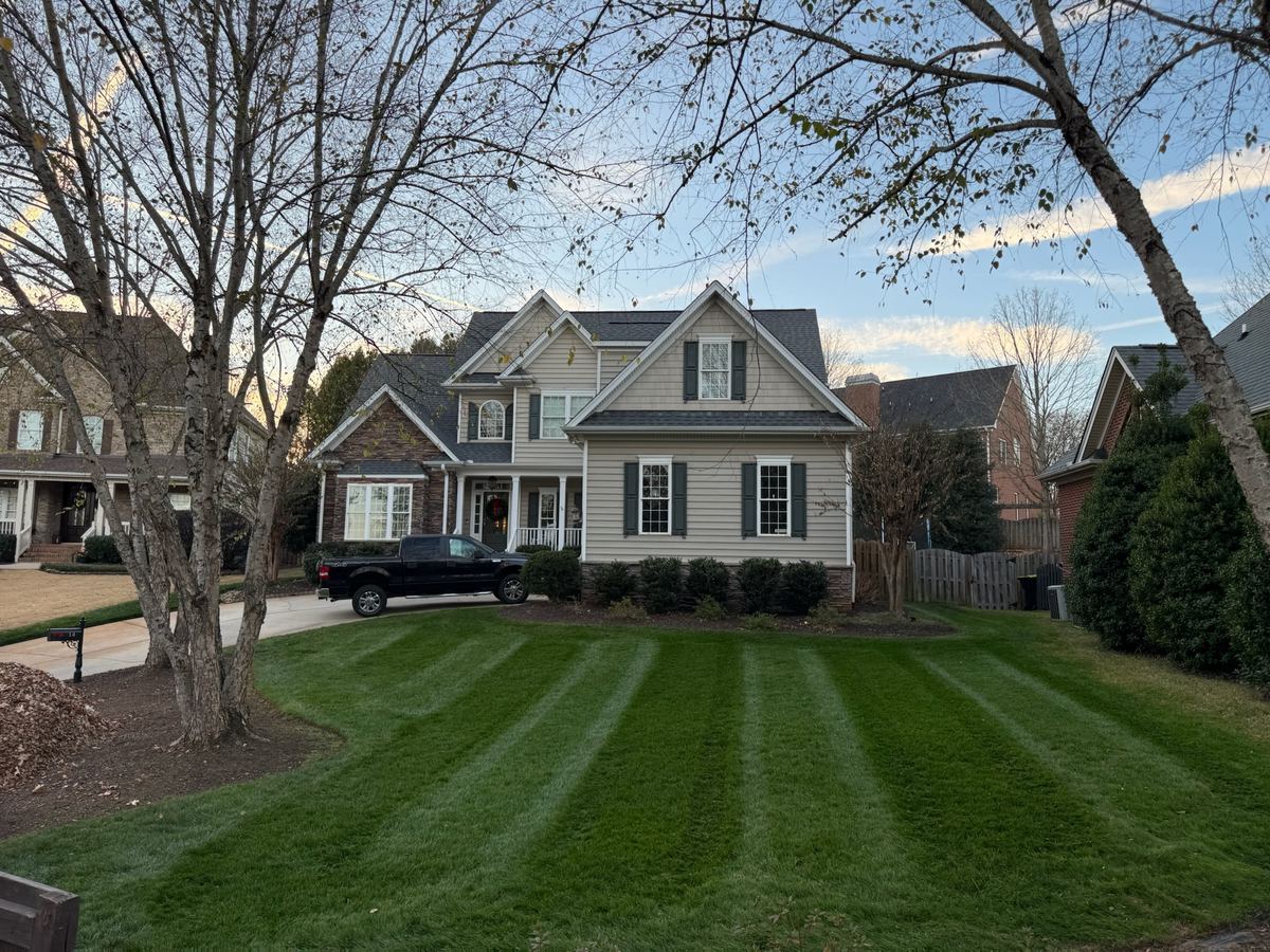 A striped front lawn at a two storey home framed by mature trees.