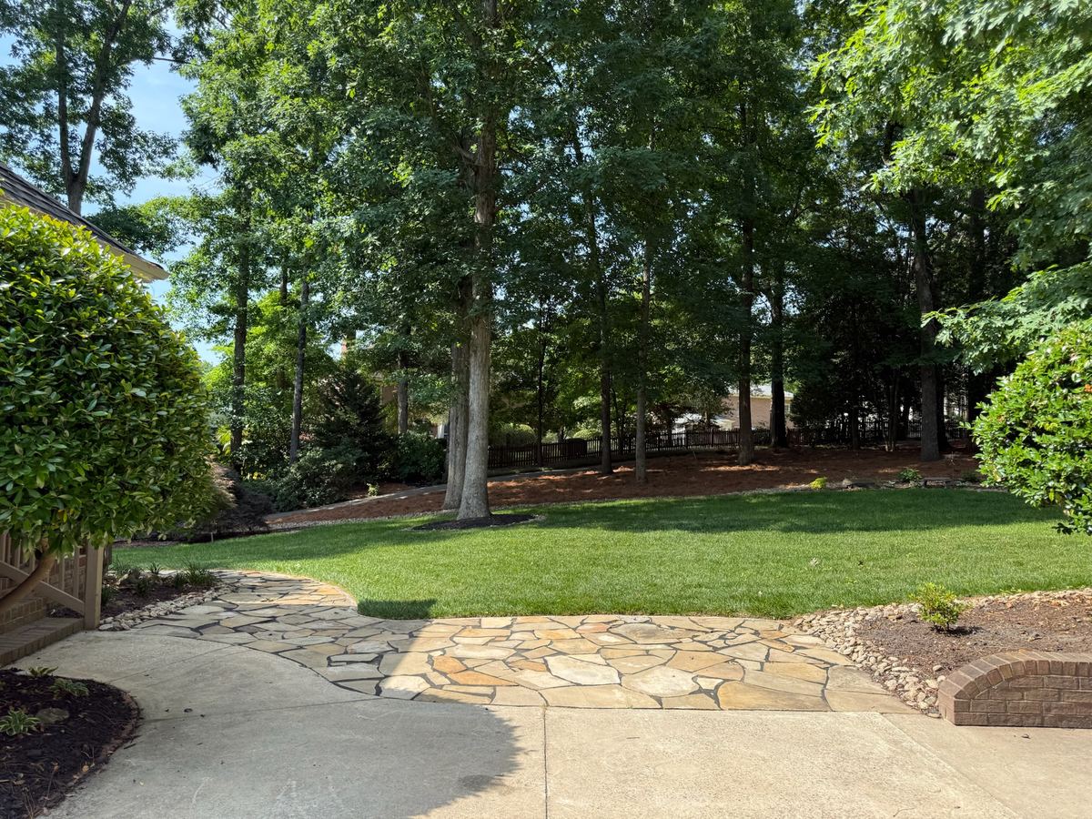 A flagstone walkway curving across a shaded back lawn.