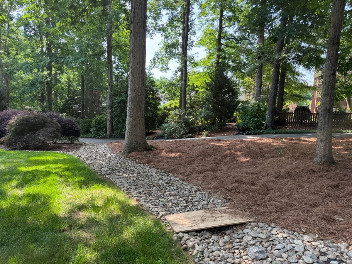 A dry creek bed of river rock built through a pine straw bed.