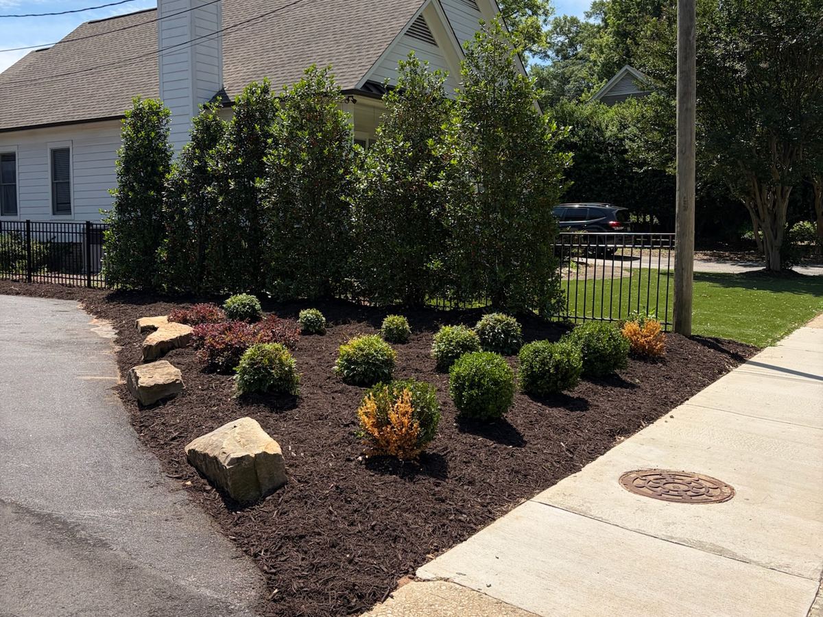 A newly installed planting bed with shrubs and mulch along a sidewalk.