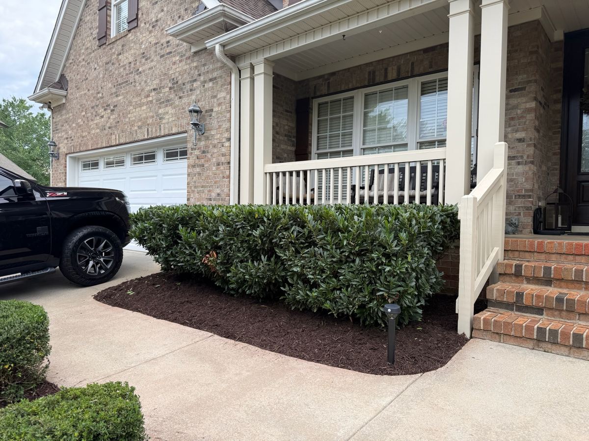 Trimmed hedges and a clean mulch bed across the front of a brick home.