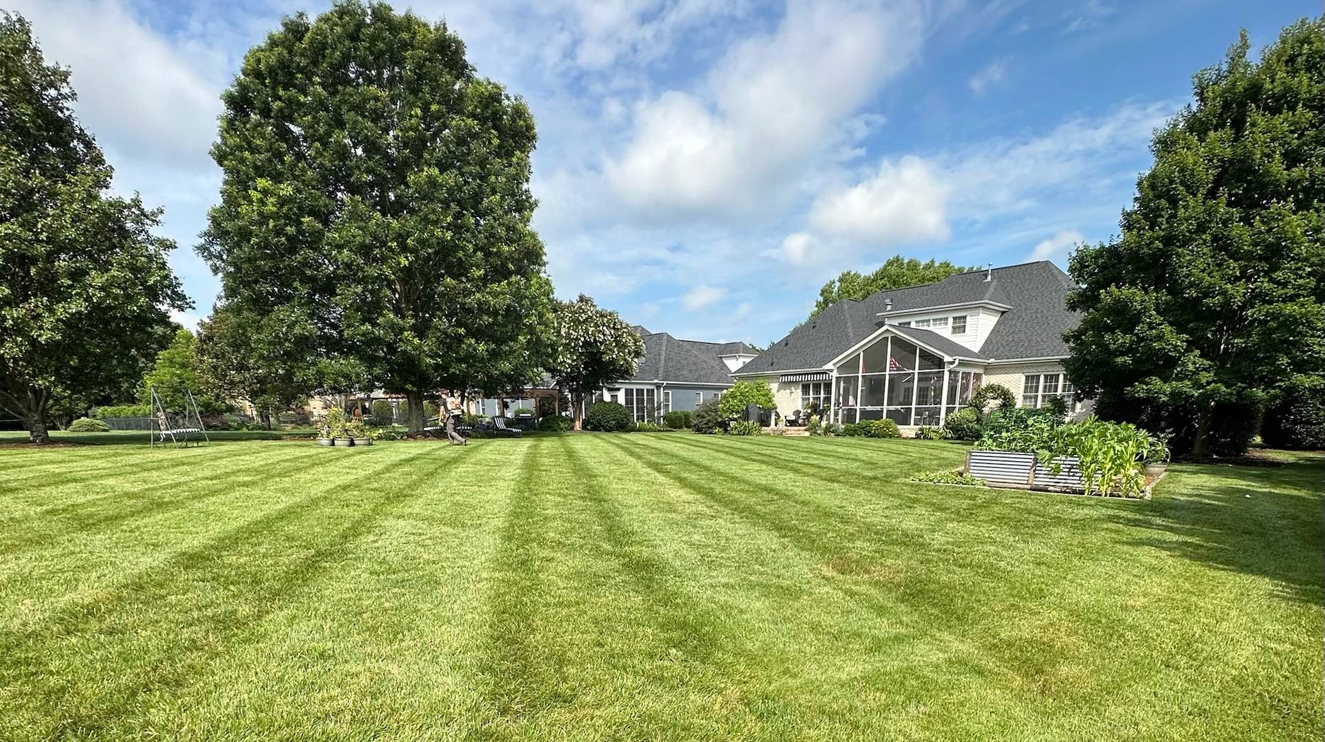 A wide residential lawn cut with clean mowing stripes, running up to a home in Greenville, South Carolina.