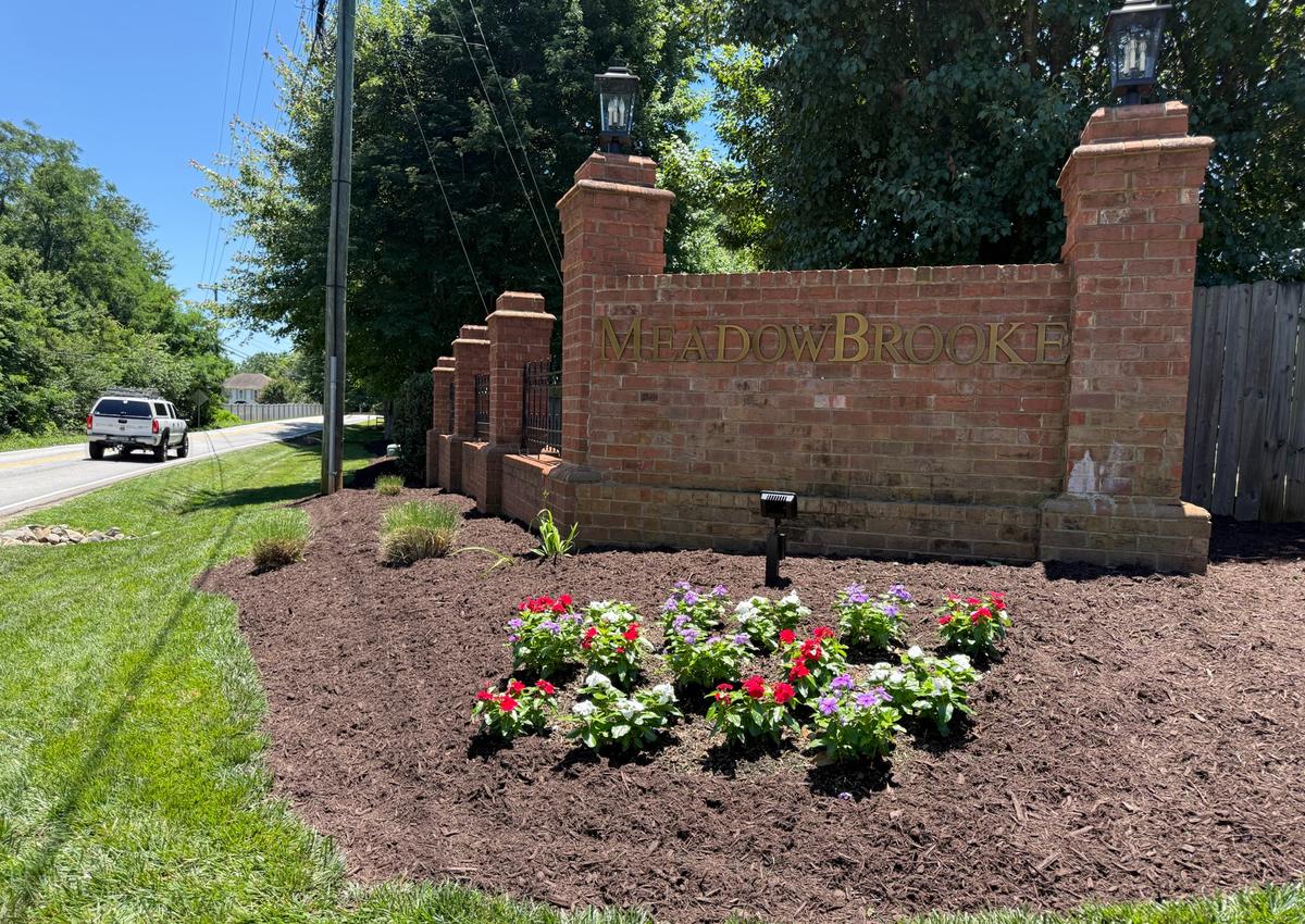 A seasonal flower rotation planted at a commercial entrance.