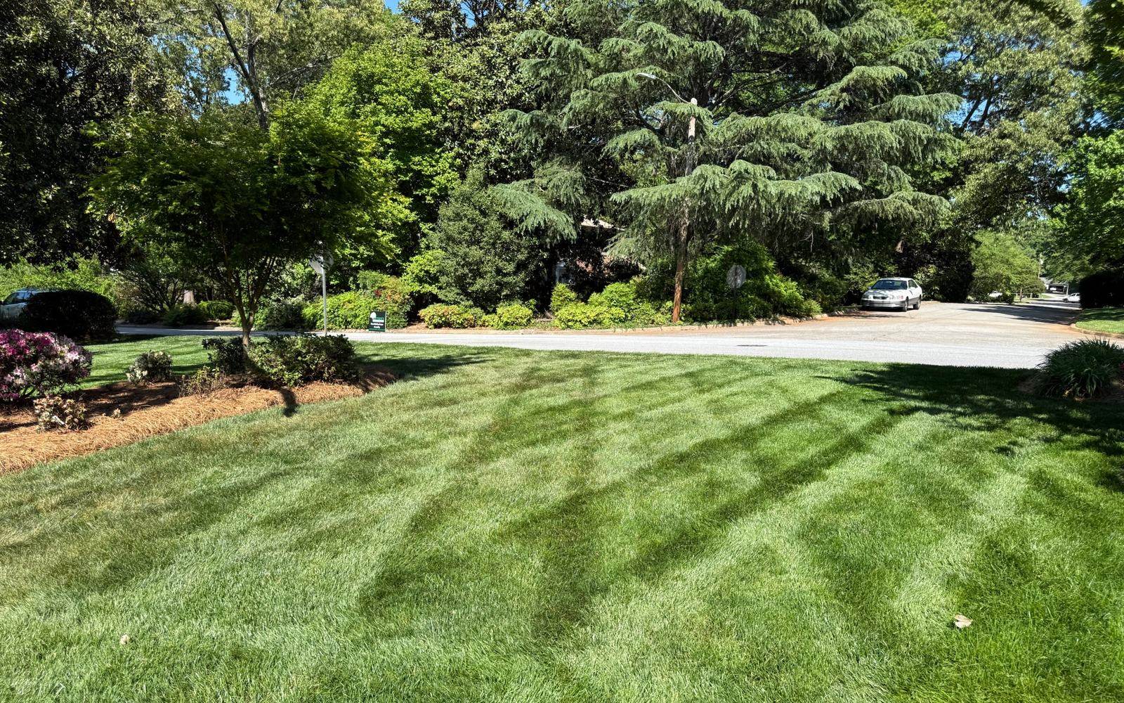 A maintained residential lawn cut with clean mowing stripes and edged planting beds.