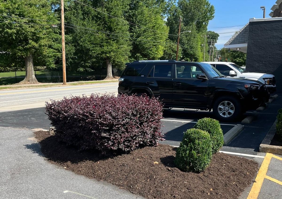 A commercial parking lot island kept edged and planted.