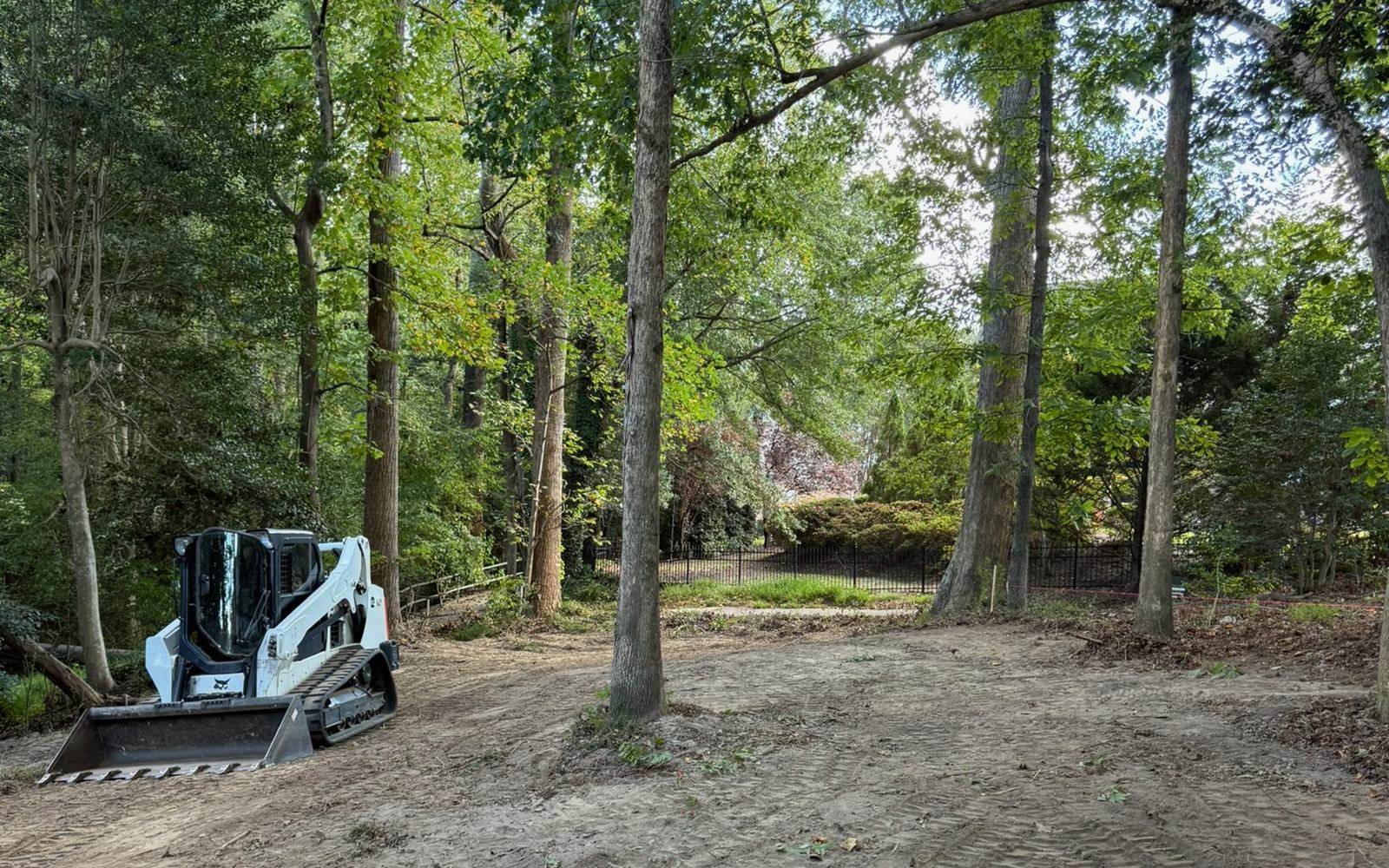 A wooded lot being cleared with a track loader.
