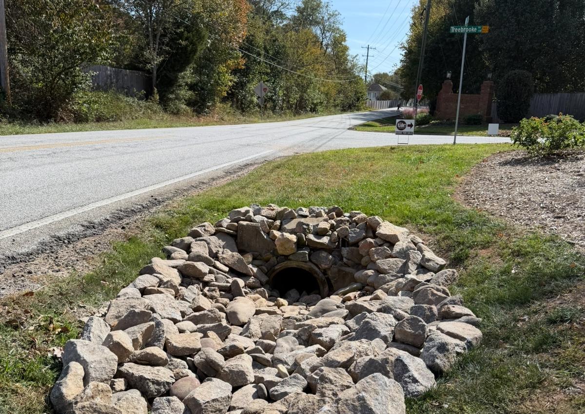 A rock-lined drainage basin built into a lawn to collect storm water.