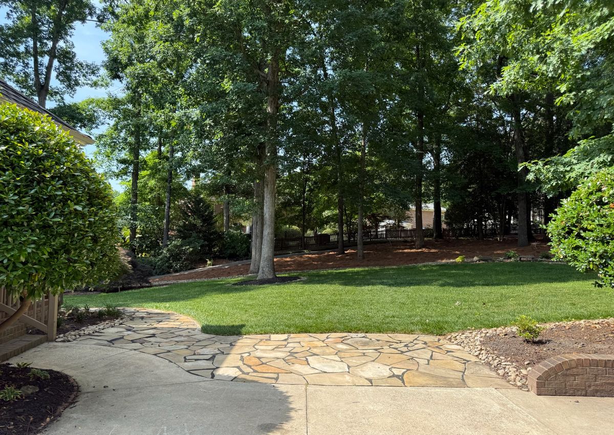 A flagstone walkway curving through a planted bed toward a lawn.