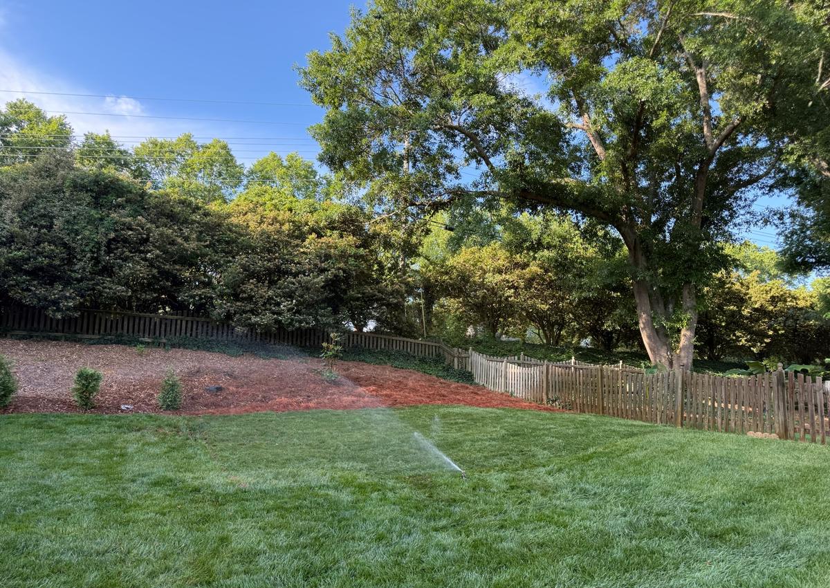 A sprinkler head running on newly laid turf.