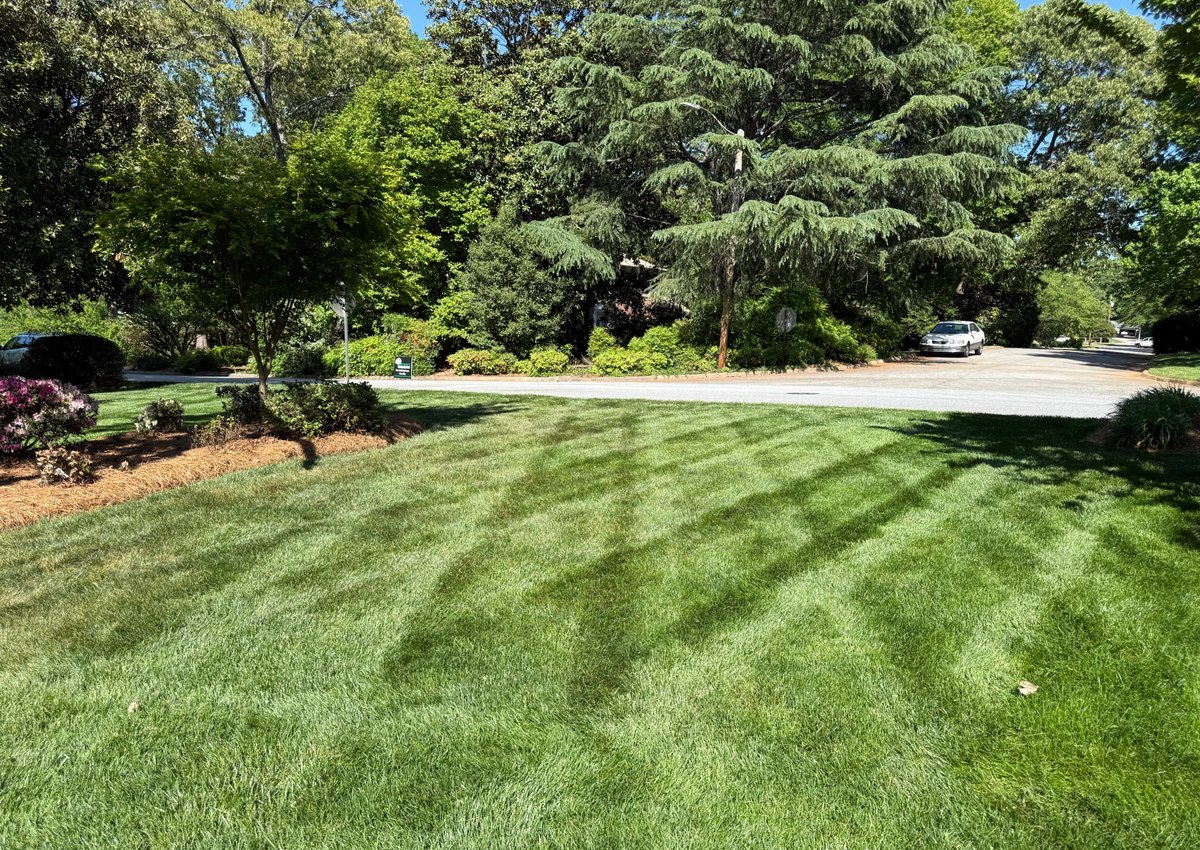 A residential lawn cut with clean mowing stripes running toward the street.
