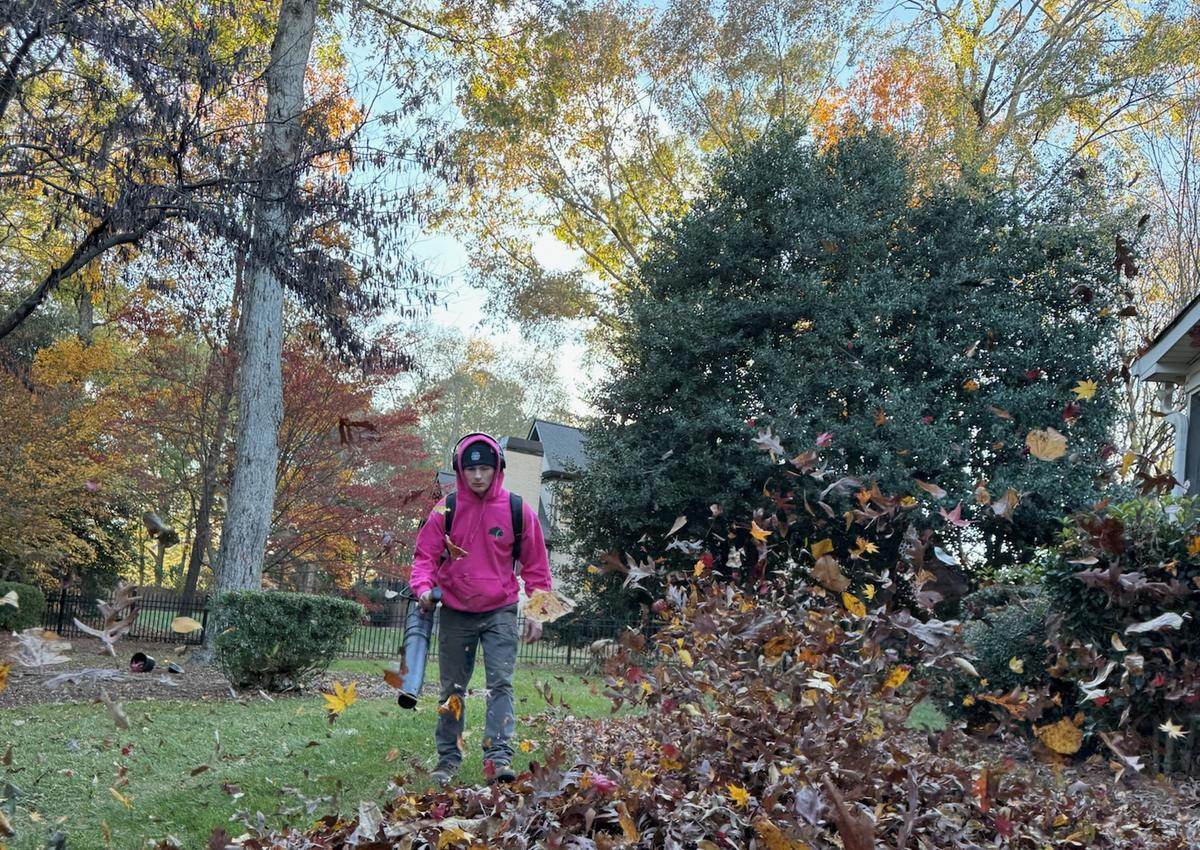 A crew member moving a large pile of collected autumn leaves.