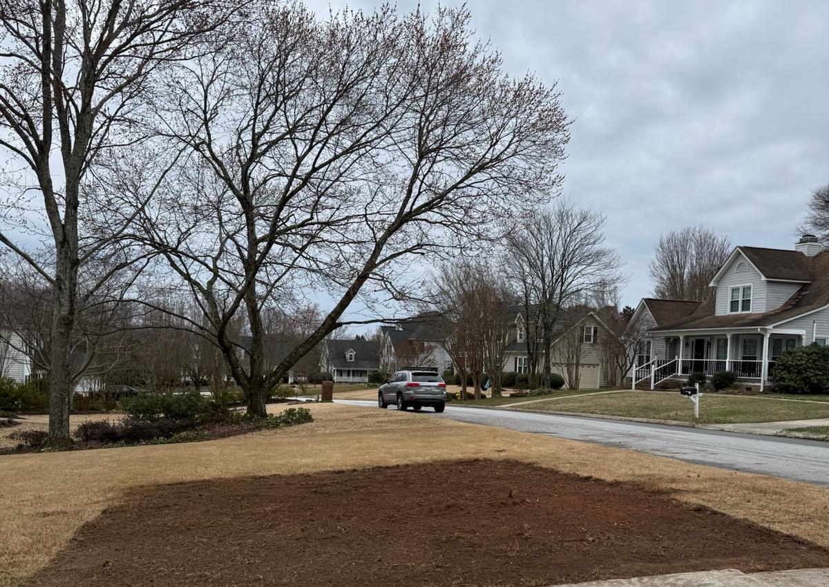 A yard graded to bare soil and prepared for new sod.