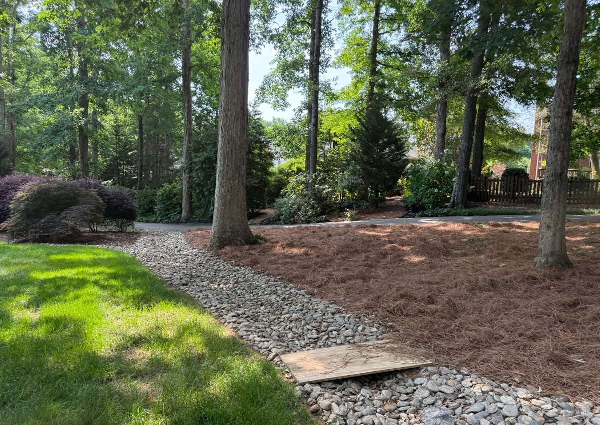A dry creek bed of river rock built through a pine straw bed to carry water away from a home.