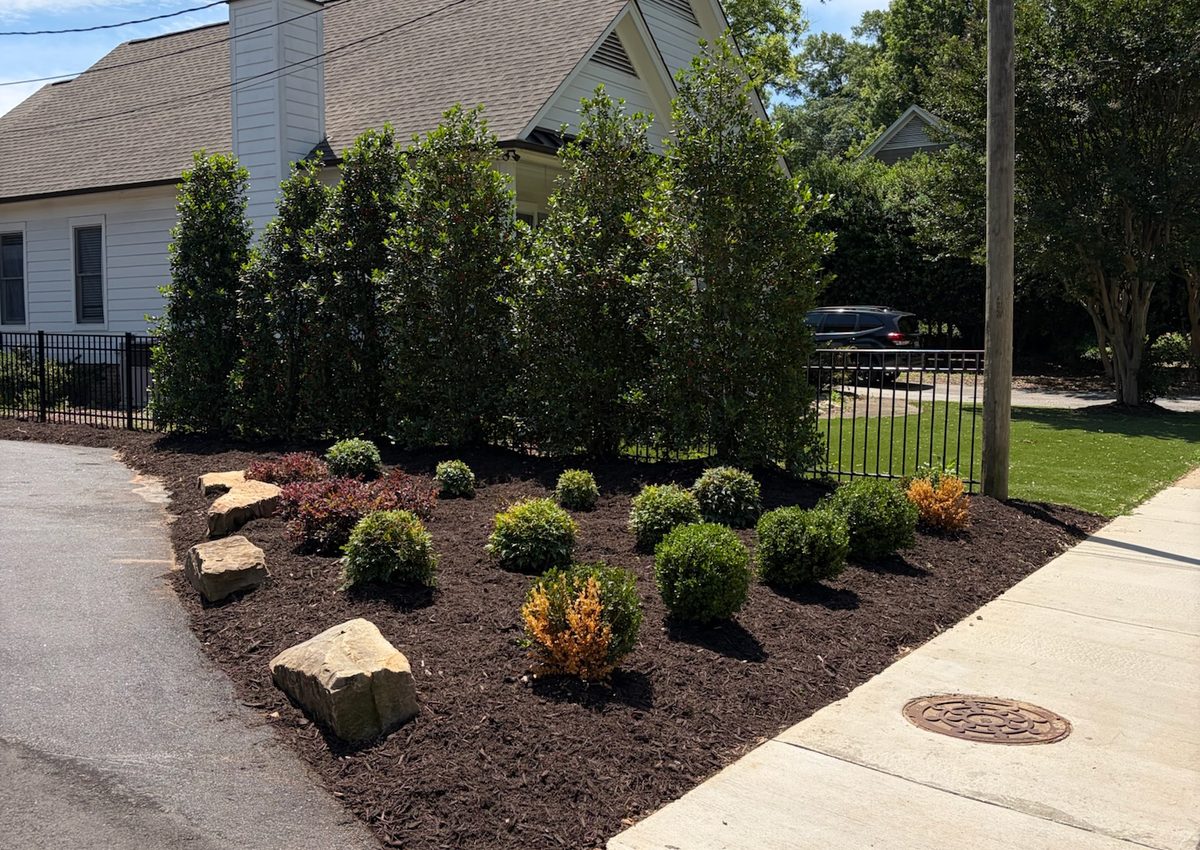 A newly installed planting bed with fresh shrubs and mulch along a sidewalk.
