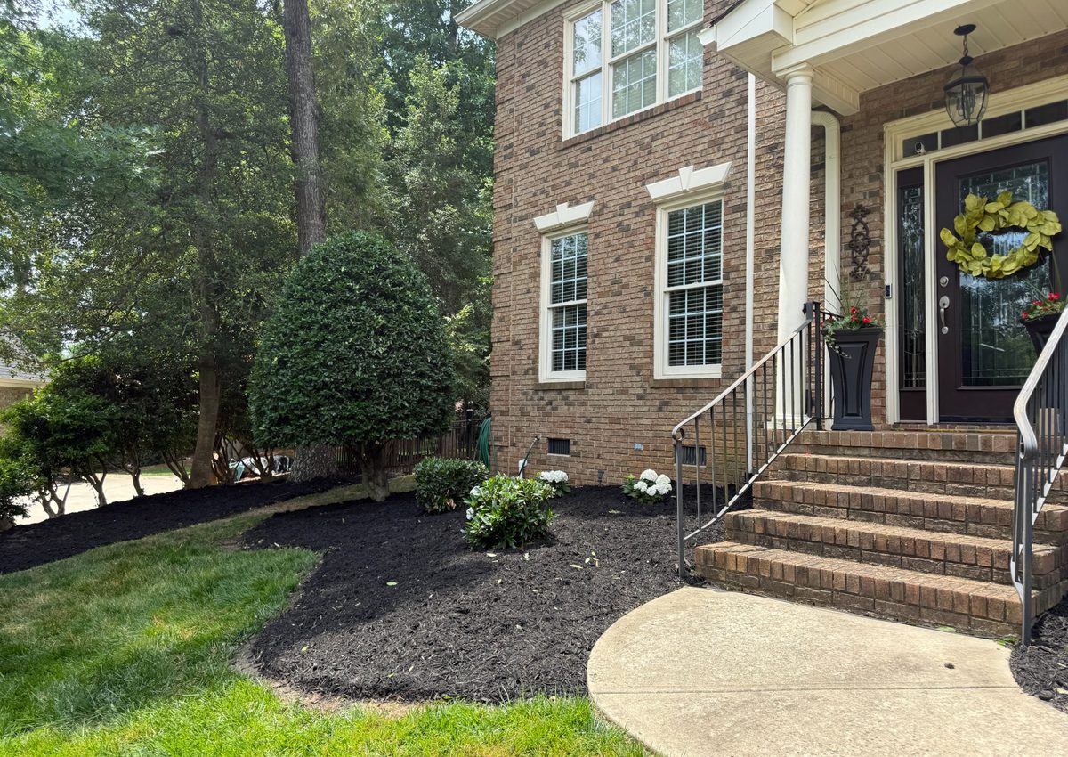 Fresh dark mulch installed in a bed with a clean cut edge against the lawn.