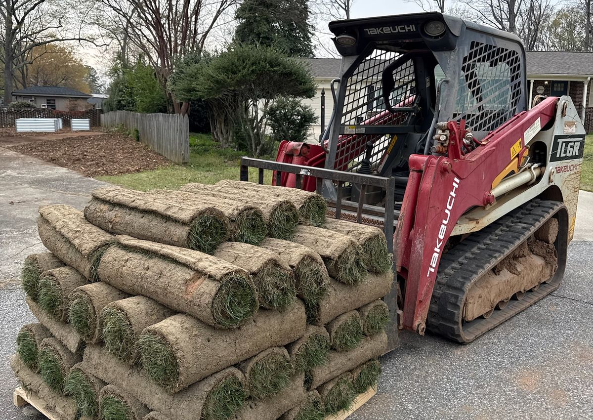 Pallets of fresh sod rolls on a skid steer, ready to be laid.