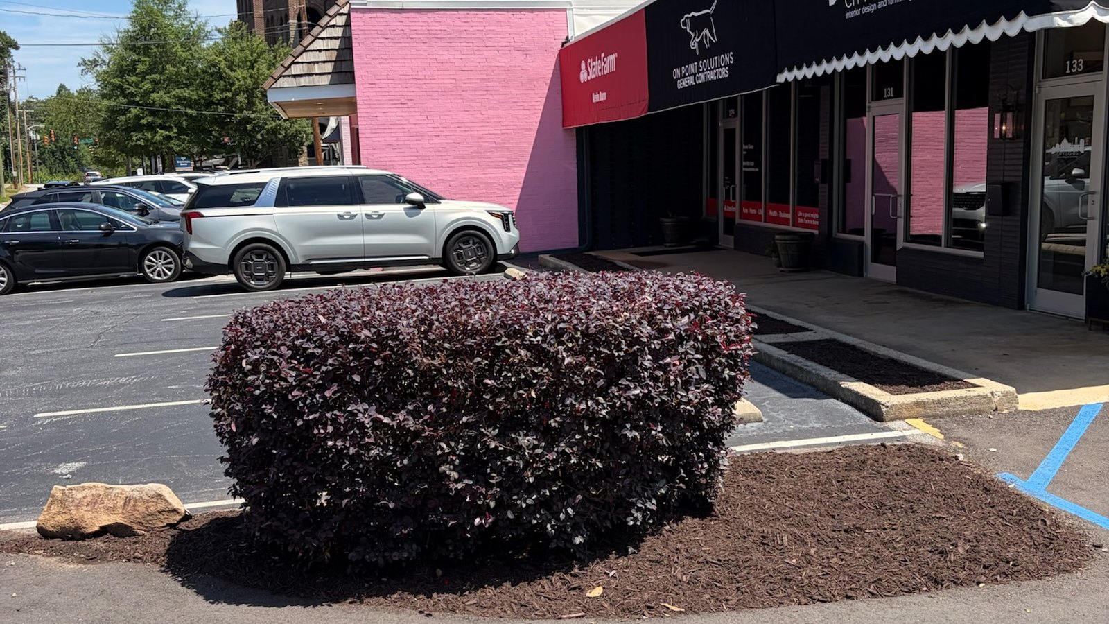 A mulched planting island with a clipped shrub in a commercial parking lot outside a storefront.
