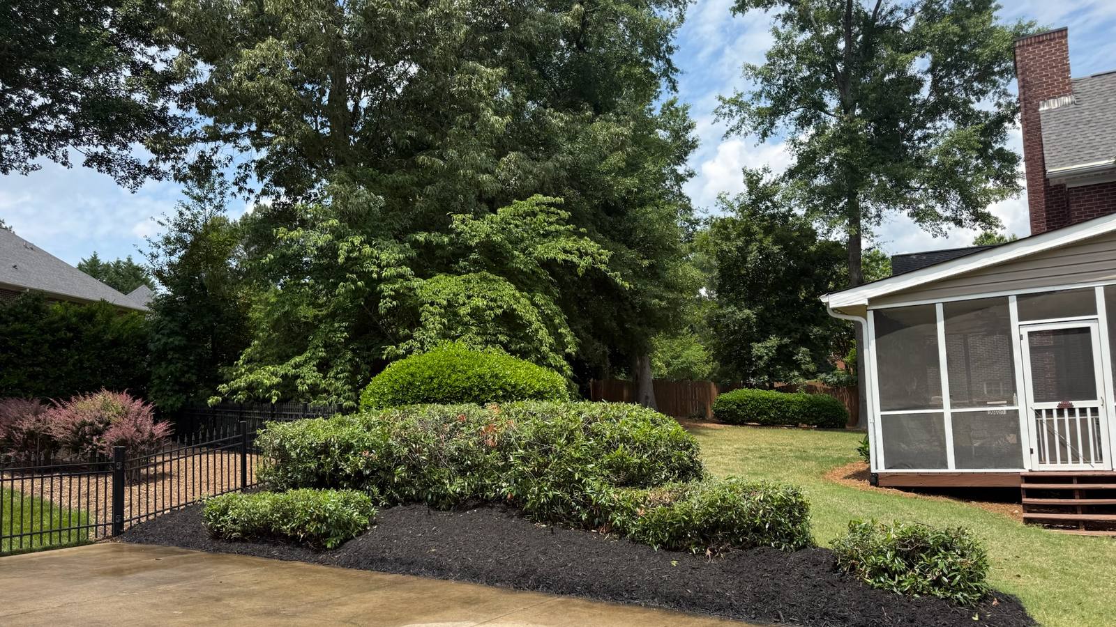 Sculpted shrubs and dark mulch beds with a clean cut edge at a brick home.