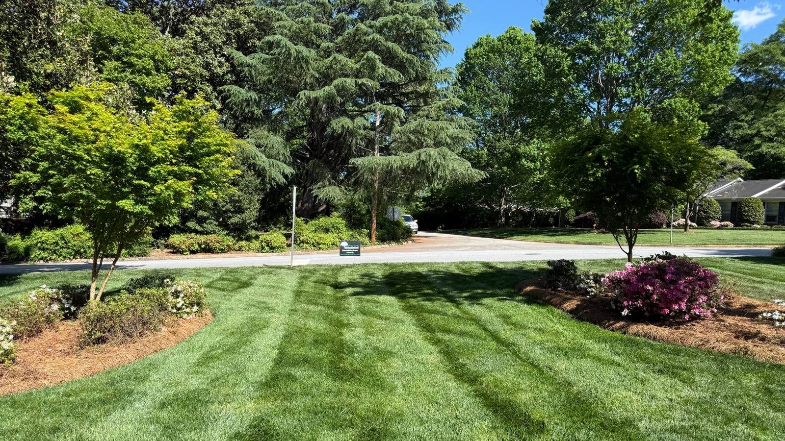 A striped lawn framed by maintained planting beds and mature trees.