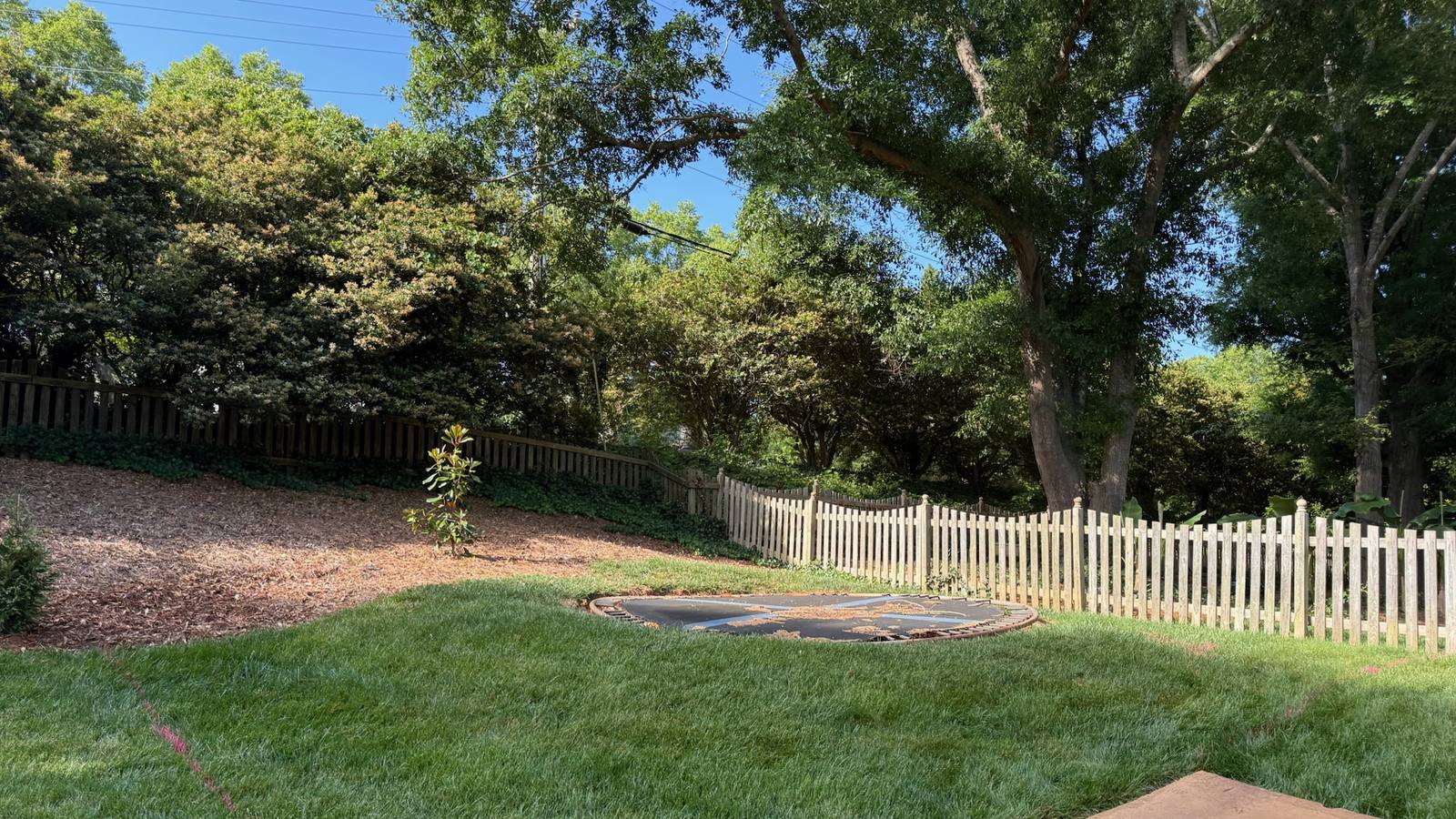 A back yard of freshly laid sod with a new mulch bed along the fence.