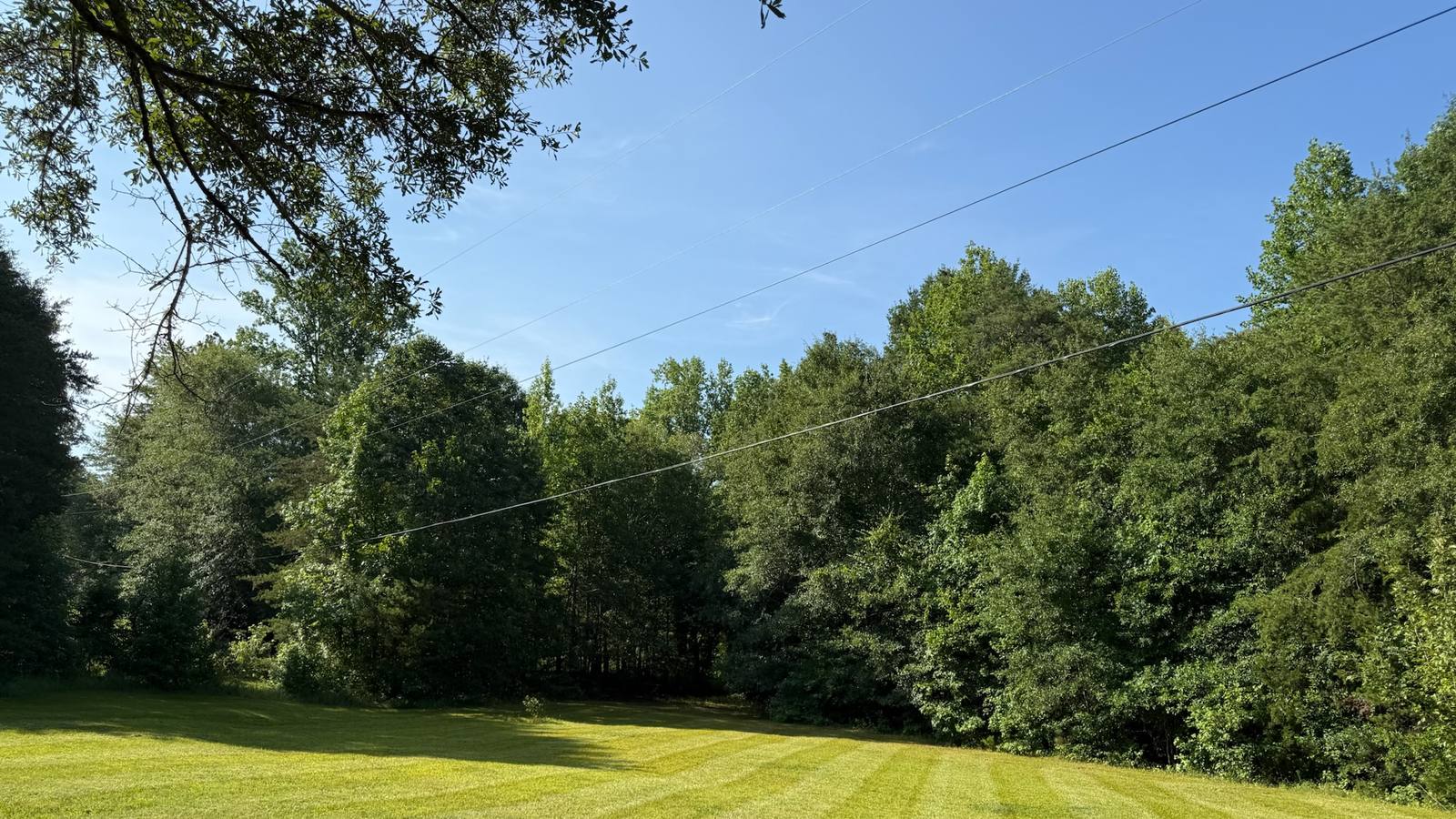A large open lawn cut with wide mowing stripes against a tree line.